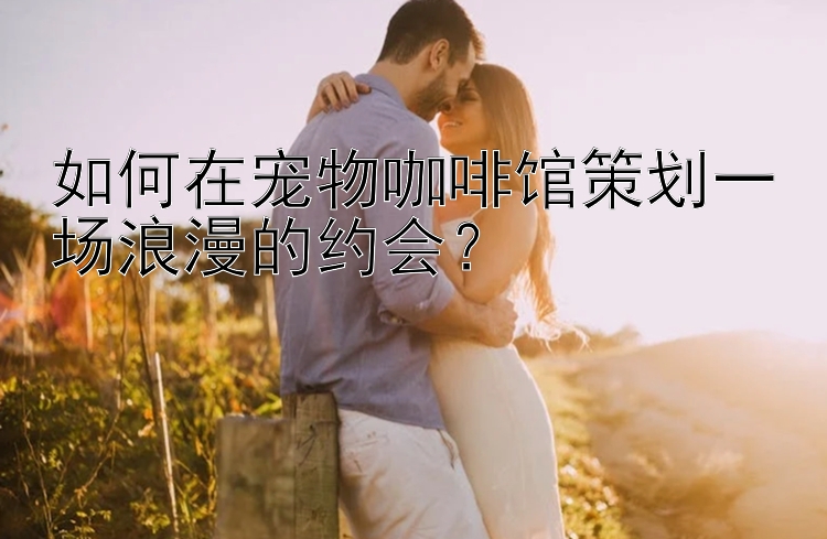 如何在宠物咖啡馆策划一场浪漫的约会？